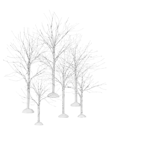 Winter Birch | Department 56 Discount