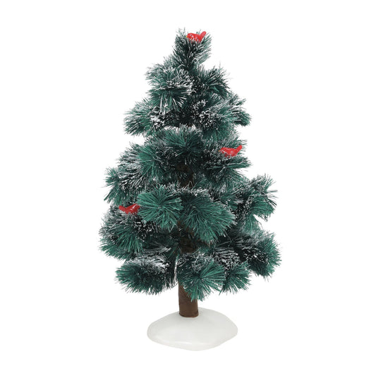 Cardinal Pine | Department 56 Signature