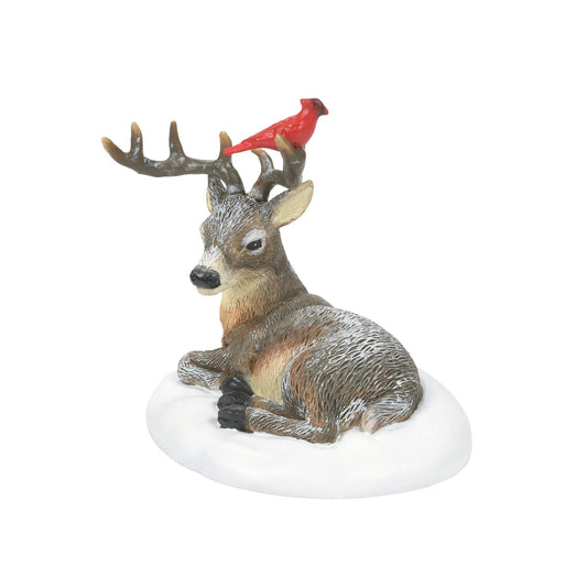 Cardinal Christmas Deer | Department 56 Customer Favorite