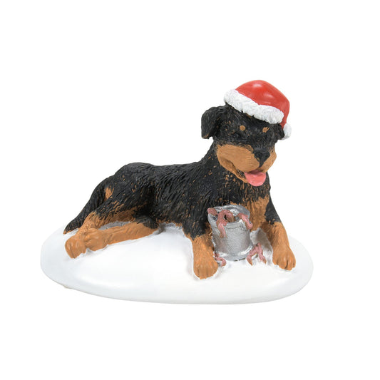 A Perfect Gift For Snots | Department 56 Exclusive