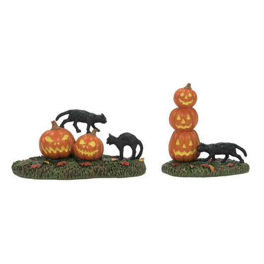 Scary Cats Pumpkins ST/2 | Department 56 Recommended